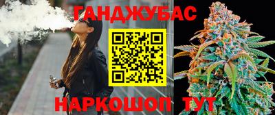 сатива Гудермес