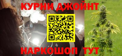 сатива Гудермес