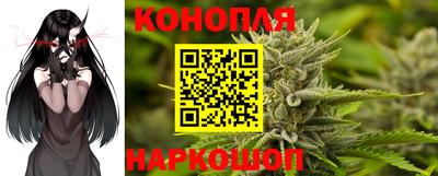 прущие крисы Гуково