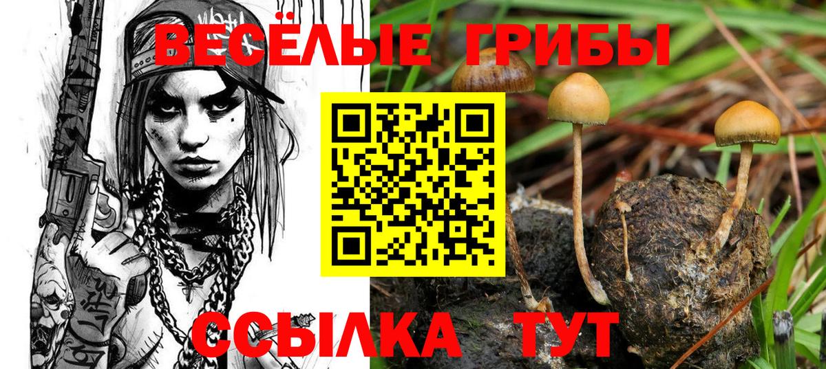 Набережные Челны  Галлюциногенные грибы Psilocybine cubensis  Вход с VPN 